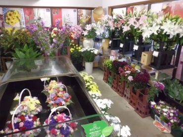 「コーセー植物園」　（愛知県名古屋市港区）の花屋店舗写真4